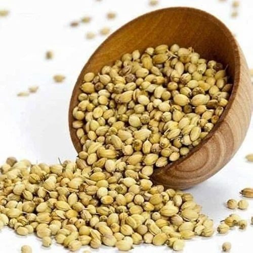 Dry Whole Coriander - Green, Whole Seeds, 12 Months Shelf Life | Grade A, Round Shape, 1% Moisture, Store in Cool and Dry Place