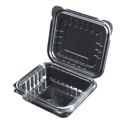 Hinged Plastic Packaging Box