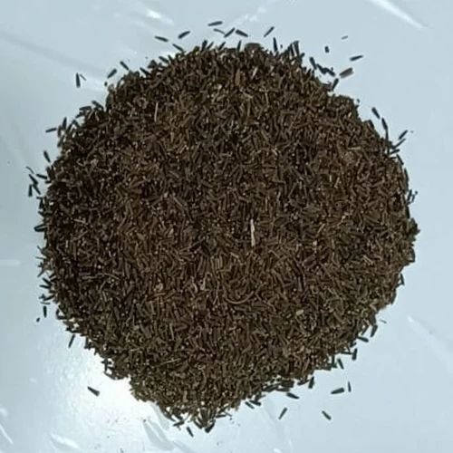 Kali Jeeri Seeds - 50 Kgs Gunny Bag, Green Dried Cumin Seed | Grade A, Vernonia Anthelmintica, Store in Cool and Dry Place, 12 Months Shelf Life