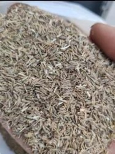 Organic Cumin Seeds