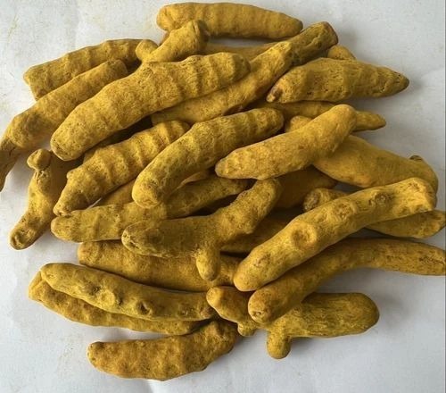 Whole Turmeric Finger - Food Grade, 1.5 Inch Length, Unpolished, Yellow Color | Packaged for Cool and Dry Storage, Low Moisture 2%