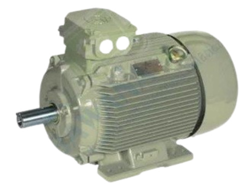Industrial Electric Motor