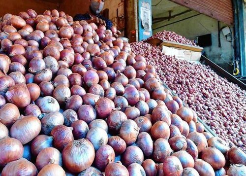 Medium Red Onion - Raw, Round, Seasoned | Long Shelf Life, Hygienically Packed, Committed Delivery, Quality Tested