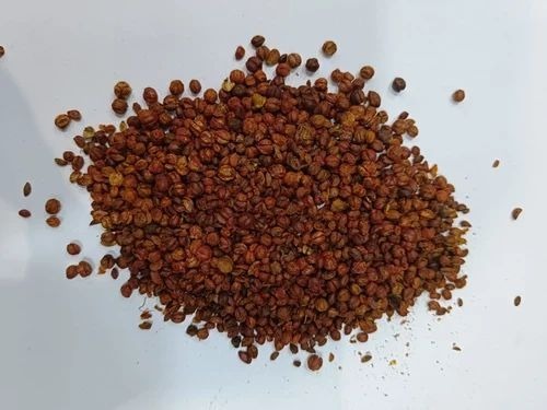 Natural Malkangani Seed - 35 kg Brown Dried Seeds | Food Grade, Natural Cultivation, 100% Purity, Celastrus Paniculatus Willd