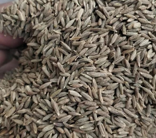 Royal Cumin - Brown, 24 Months Shelf Life | Distinctive Aroma, Rich Flavor, Organic Sourcing, Anti-Inflammatory, Nutrient-Rich, Culinary Versatility