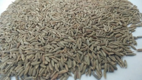 White Cumin Seeds