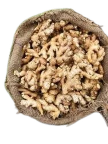 Fresh Indian Ginger