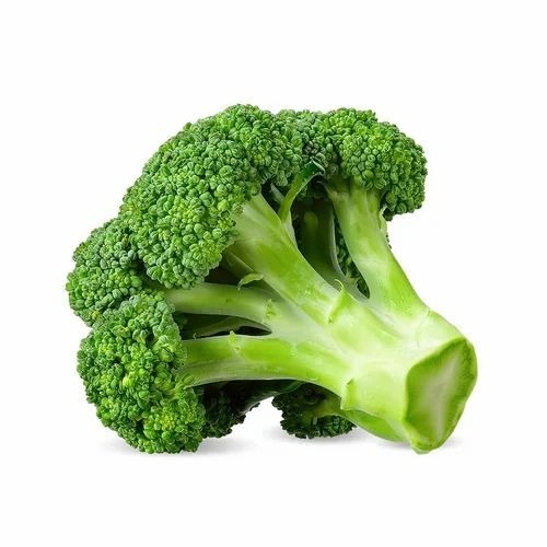 Fresh Organic Broccoli - 20 Kg Net Bag, Green Color | Fresh, Raw Processing Form, Common Shape, 2 Month Shelf Life, Ideal for Cooking