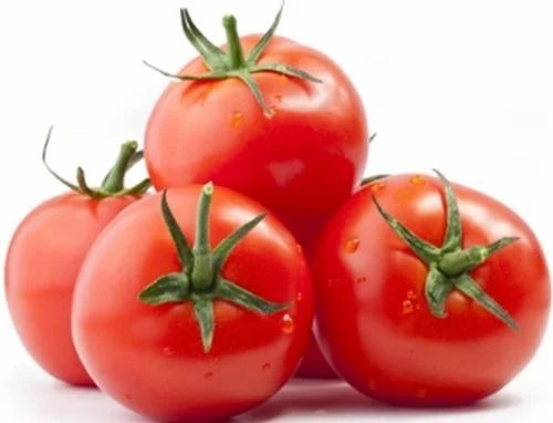 Hybrid Tomato Satya Seeds - 250g Packet, Red Color, 100% Pure, Natural Cultivation, Enhanced Disease Resistance, Increased Yield, Earlier Maturity