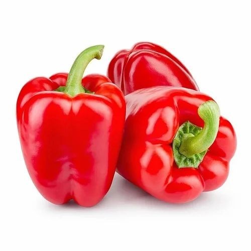 Red Bell Pepper - 20 Kg Net Bag, A Grade Red Color, Chopped Fresh Style for Cooking