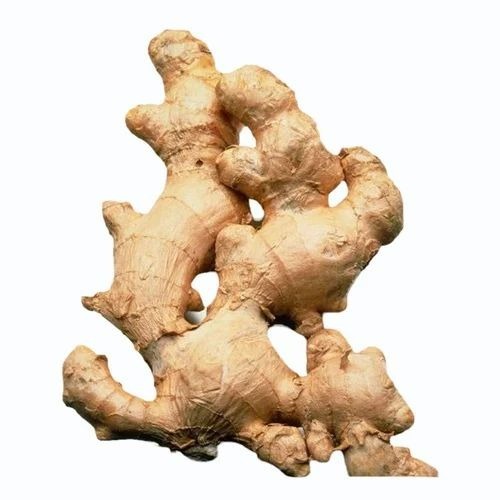 Whole Organic Ginger - Sodium 13 mg, 12 Months Shelf Life, Chopped Form - Fresh and Cooked Style