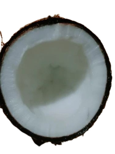 0.300g Semi Husked Coconut