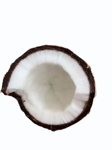 0.500g Semi Husked Coconut