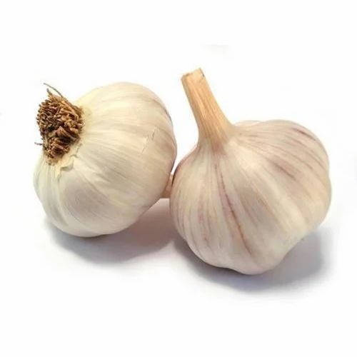 Fresh Dry Garlic