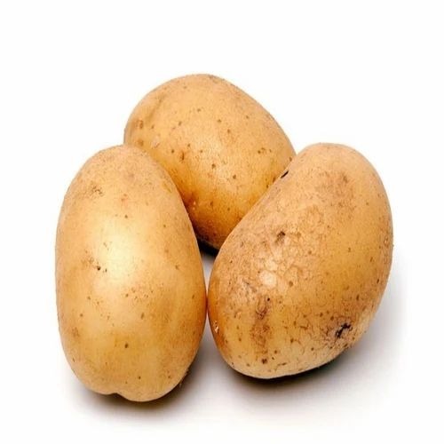 Fresh Organic Potato - 25kg Gunny Bag | A Grade Quality, Organic Cooking Product, Fresh Fried Processing, Common Shape, 12 Months Shelf Life