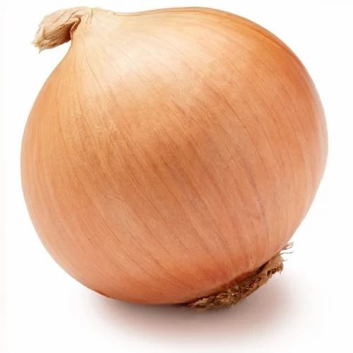 Large Yellow Onion - A Grade Common Shape | Fresh Chopped Cooked Style Ideal for Food Packaging in Loose Storage