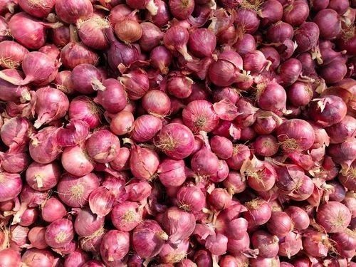 Organic Red Onion