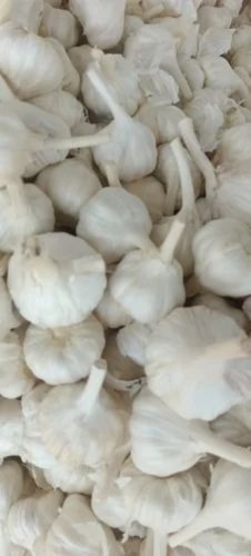 Quality Garlic