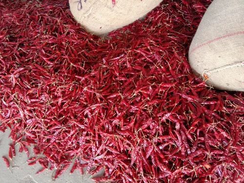 Red Chilli Stick
