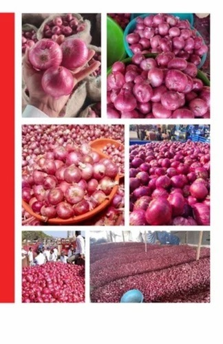 Red Onion