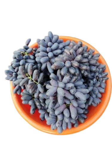Black Grape - 5 Kg Carton | A Grade, Sharad Seedless Variety, Sweet Taste, Black Color, Berry Size 30mm+