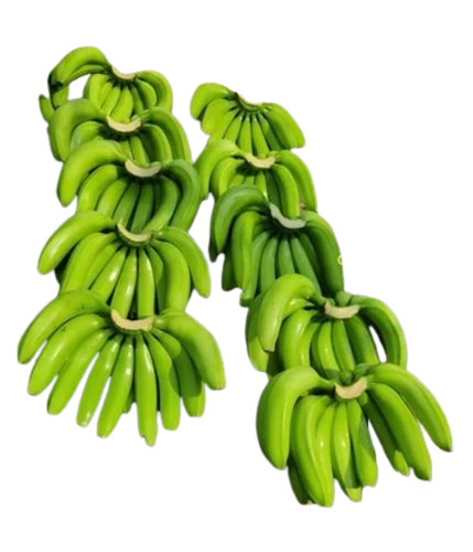 Fresh Green Bananas - 10 Kg, Organic Grade A G9 Variety | Whole Sweet Taste, Vibrant Green Color, Common Shape, Common Cultivation Type