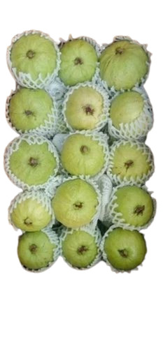 Fresh Guava Fruits - 10, 15, 20kg Carton, A Grade | Whole Round Shape, Green Color, Sweet Taste, Available Varieties: Guava, VNR-Guava (Pink, White)