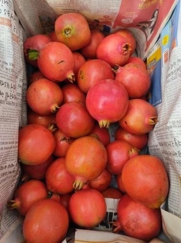 Fresh Pomegranate - A Grade Quality, Non Imported Whole Fruit, Sweet Red Flavor, Round Shape, Common Cultivation