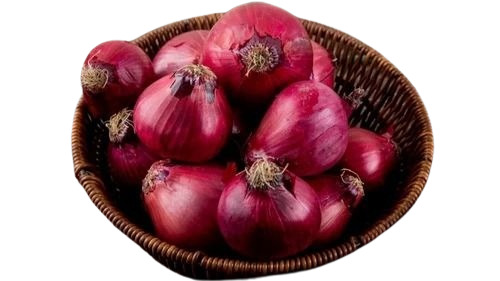 Medium Size Red Onion - Organic Pearl Onion in A Grade Quality, Net Bag Packaging | Freshness Preserved, Chopped Processing Form, Common Shape, 35 Days Shelf Life
