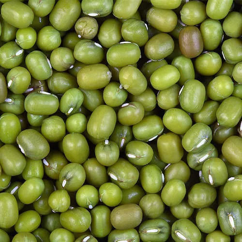 Moong Dal - Color: Green