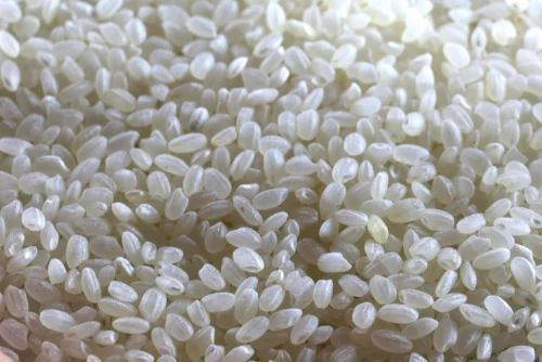 Non Sortex Rice - Short Grain, White Color, Soft Texture - Fully Polished, 100% Purity, Dried with 2 Year Shelf Life, Ideal for Sushi and Rice Pudding
