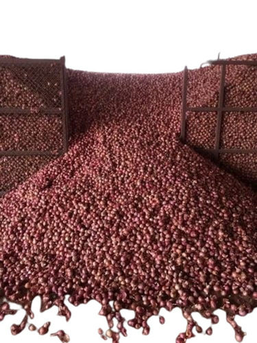 Organic Natural Onion - 50kg Jute & PP Bag, Small Size, 12% Vitamin C, 0.1g Total Fat, Fresh Chopped Style, Shelf Life 35 Days