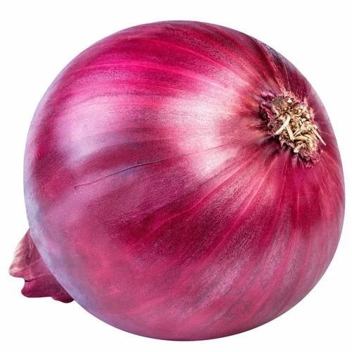 Organic Red Onion - Net Bag A Grade Quality Organic Food Use | Fresh Chopped Common Shape 35 Days Shelf Life Cooked Style