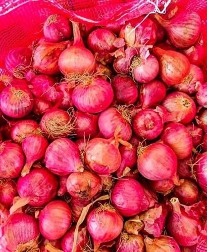 Super Medium Onion - A Grade Net Bag Fresh Quality Chopped Form Common Shape Cooked Style