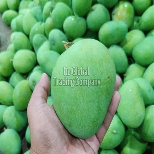 Fresh Badami Mango - Organic A Grade Sweet Taste Green Color Round Shape Standard Size | Whole Fruit Non Harmful No Artificial Flavors