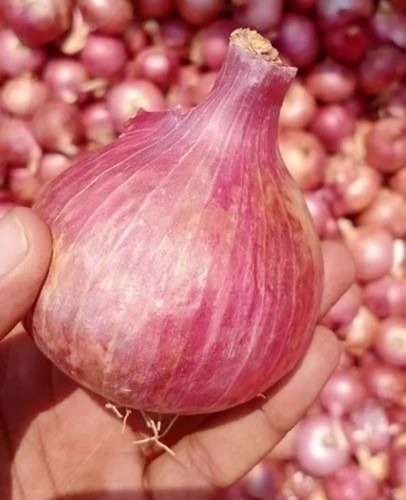 Fresh Onion - Organic Pink Garwa Onion, 20 Kg Net Bag Size, A Grade Quality, Human Consumption, Chopped, Common Shape, 6 Month Shelf Life