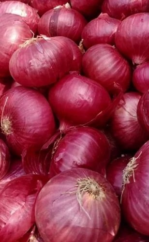 Fresh Red Onions - Organic Pink Garwa, 20 Kg Net Bag, A Grade, 50 mm Size | Chopped, Common Shape, Cooked Style, Preserved Fresh