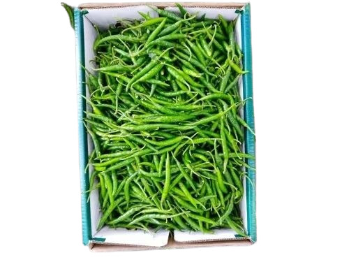 Green Chilli - G4 Green Chilli, 3.8kg Nett | A Grade, Fresh Chopped Form, Common Shape, Cooked Style, Carton Packaging