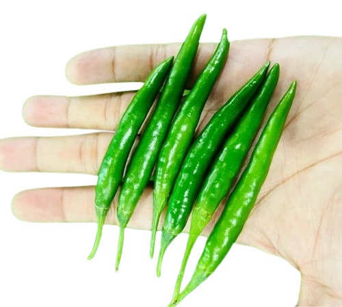 Green Chillis - A Grade 5 Kg Chopped, Cooked Style | Fresh Preserving Compound, Common Shape, Food Packaging