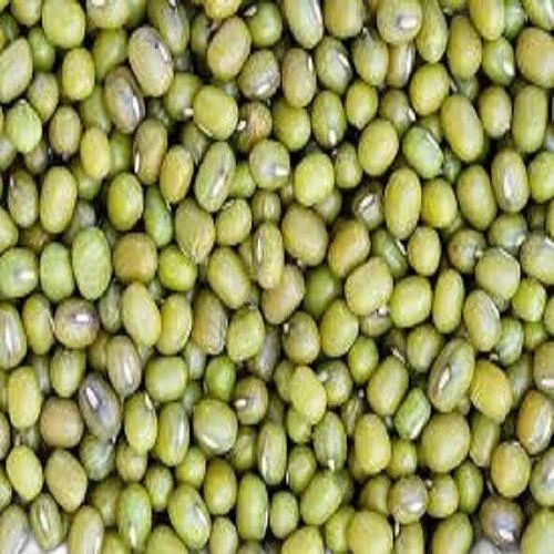 Mung Bean