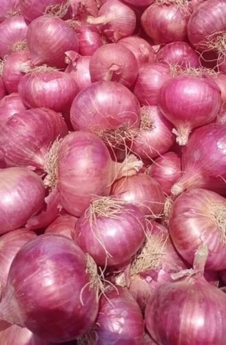 Nashik Pink Onion - Organic Pink Garwa Onion, 50 Kg Net Bag, 40 mm Size, A Grade Quality | Fresh Chopped, Common Shape, Cooked Style