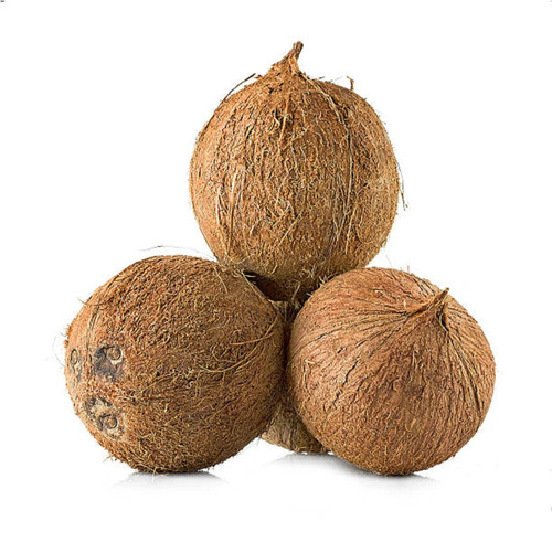 Natural Fresh Coconut - Color: Brown