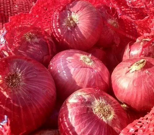 Red Onion - 2kg to 50kg, 25mm-70mm Size Range | Fresh, Chopped, Common Shape, Cooked Style, All Packaging Types Available