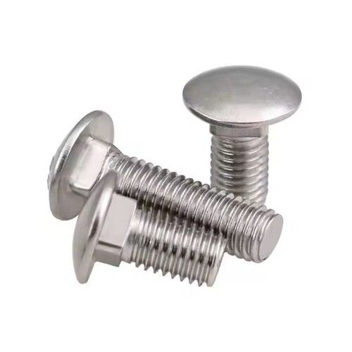 Stainless Steel Screws Carriage Bolts