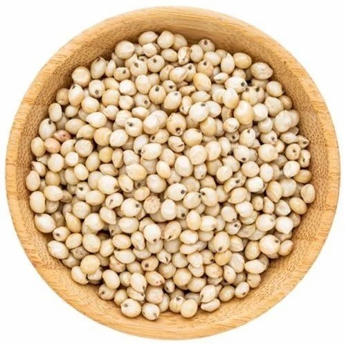 White Sorghum Seeds - 50 Kg PP Bag, 100% Organic, 8% Moisture, Grade A & B, 3-Year Shelf Life