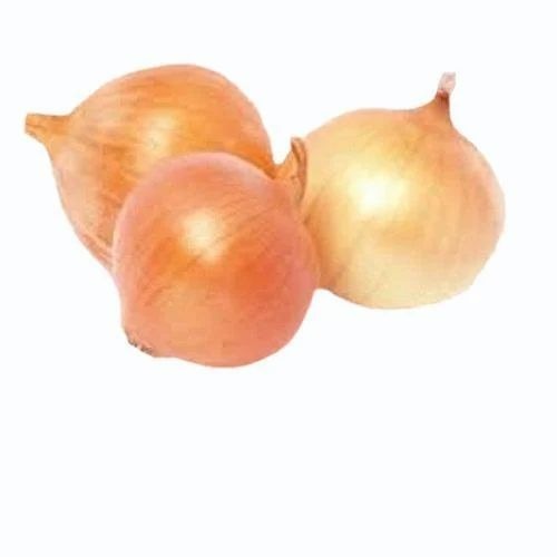 Yellow Onion