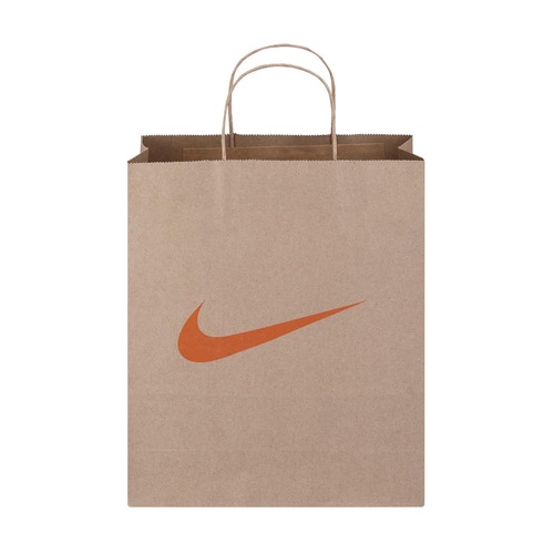 Craft Paper Carry Bag - Kraft Paper, Customized Size, Brown Color | Moisture Proof, Easy to Carry with Durable Rope Handles, Tested Quality Standards