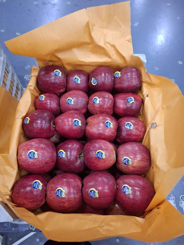Fresh Iran Red Apples