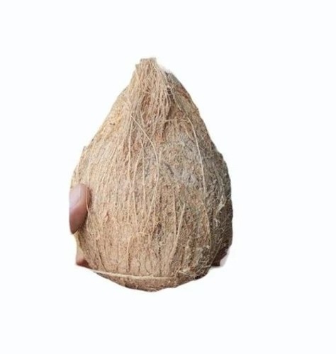 Husked Coconut - A Grade Semi-Husked Medium Size , Fresh Whole Brown Round Shape