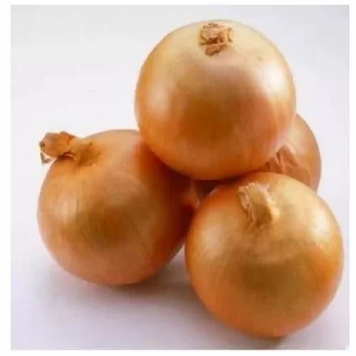 Onion Indam 4 Hy Seeds